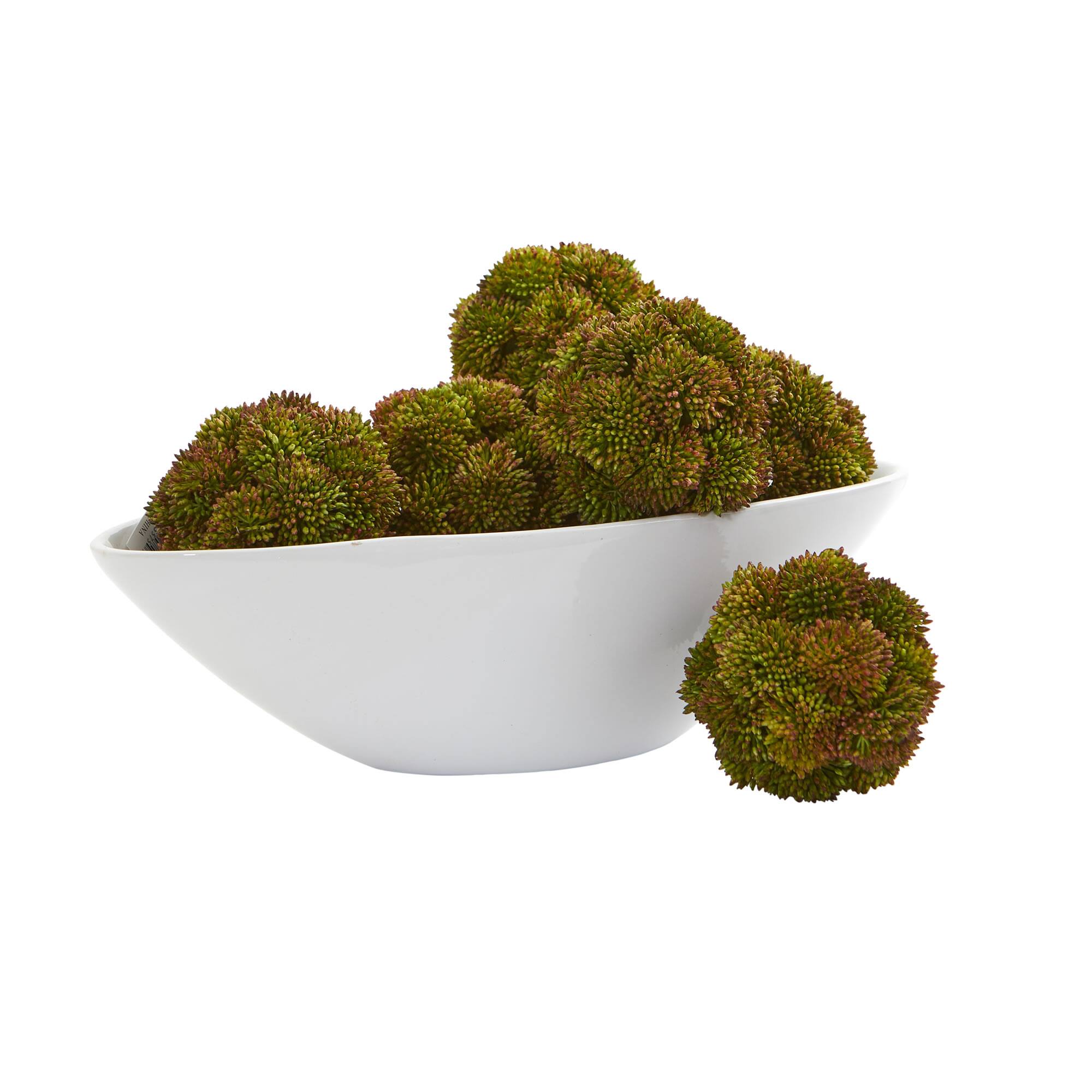 Green Sedum Succulent Spheres, 6ct.